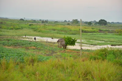 DSC_4213 (Large).JPG